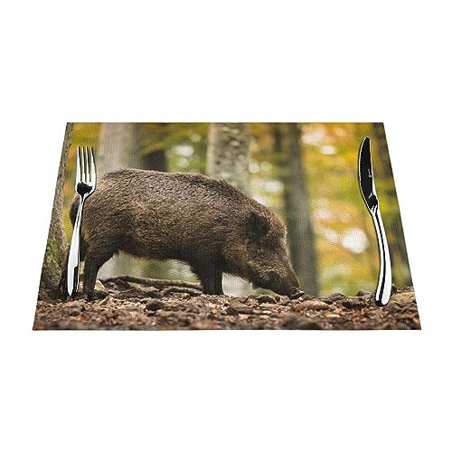 Tischsets 1–6 Sets, Wildschwein im natürlichen Wald, waschbare Tischsets für Küche, Esstisch, 30 x 45 cm, 6 Stück von NIBABA