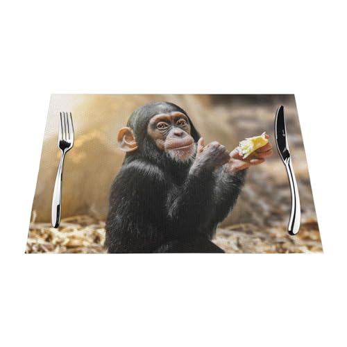 Tischsets 1–6 Sets, bezaubernder kleiner Schimpanse, waschbare Tischsets für Küche, Esstisch, geeignet für Küche, Wärmedämmung, Tischsets, 30 x 45 cm, 4 Stück von NIBABA
