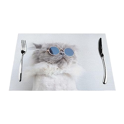 Tischsets 1–6 Sets, lustige Tiere, coole Katze, waschbare Tischsets für Küche, Esstisch, geeignet für Küche, Wärmedämmung, Tischsets, 30 x 45 cm, 4 Stück von NIBABA