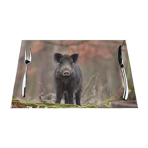 Tischsets 1–6 Sets, niedliches Wildschwein, waschbare Tischsets für Küche, Esstisch, 30 x 45 cm, 4 Stück von NIBABA