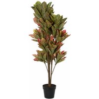 Fijalo - Pflanze pe 50x50x140 Grüner Croton pe Material mehrfarbig -Farbfamilienblumen und Pflanzen Details von FIJALO