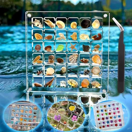 NICKLIN Muschel Sammelbox,Acrylic Magnetic Seashell Display Box,36 Fächern Muschel Aufbewahrungsbox mit Schlitz,Muschelbox Display Organizer Box,Multifunktionale Acrylbox für Muschel,Nagelbohrer von NICKLIN