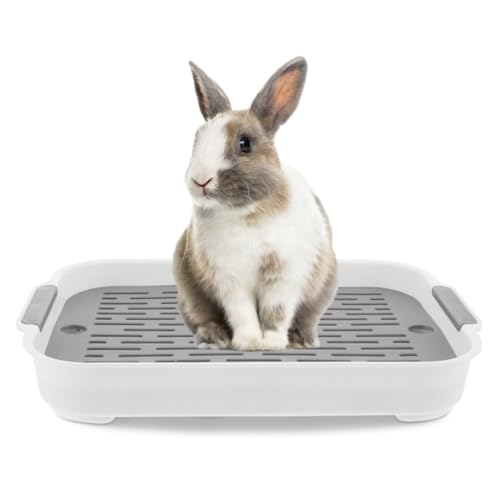 Kaninchenstrauder Tablett 2 Tier Kaninchendrüsenbox Plastik Rechteckige Hasen Haustier Toilette 7.3x10.6x1, 3 Zoll Töpfchen -Trainer Bettwäsche -Box Kaninchenstrauder Tablett 2 Tier Kaninchendrüsenbox Plastik Rechteckige Hasen Haustier Toilette 7.3x10.6x1, 3 Zoll Töpfchen -Trainer Bettwäsche -Box von NIDONE