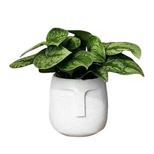NIDONE Face Flower Pot Ceramic Planter 5.5" Unglazed Terracotta Plant Pot Decorative Succulent Pot for Desk Plant Container for Indoor Plants Home & Office Decor, White von NIDONE
