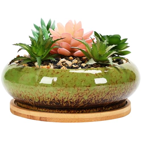 NIDONE Sukkulenter Pflanzentopf 6.14x2.20in Bonsai -Topf mit Tablett Flache saftige Pflanzer runde glasierte Keramiktöpfe für Pflanzen mit Entwässerung | Pflanzgefäßen von NIDONE
