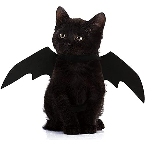 Halloween-Kostüm für Hunde und Katzen, Vampirflügel, Fledermausflügel für Katzen, Hunde, Halsumfang von 25–35 cm und Brustumfang von 45–65 cm Halloween-Kostüm für Hunde und Katzen, Vampirflügel, Fledermausflügel für Katzen, Hunde, Halsumfang von 25–35 cm und Brustumfang von 45–65 cm von NIEBYI