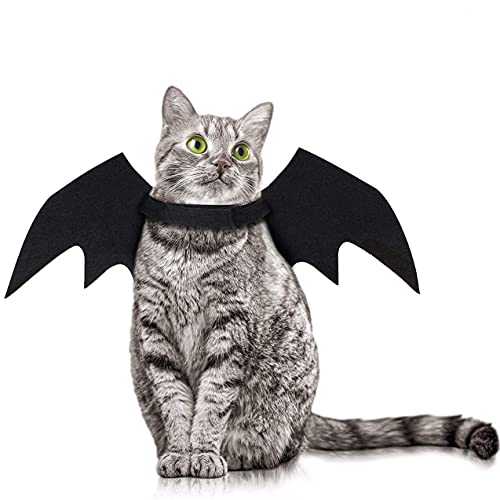 Halloween-Kostüm mit Fledermausflügeln für Katzen, Hunde, Fledermaus-Kostüm, Halloween-Zubehör für Welpen, Hunde und Katzen Halloween-Kostüm mit Fledermausflügeln für Katzen, Hunde, Fledermaus-Kostüm, Halloween-Zubehör für Welpen, Hunde und Katzen von NIEBYI