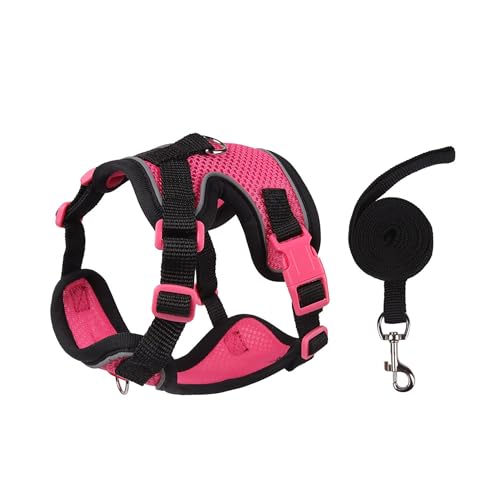 Katzengeschirr und Leine Set zum Gassi gehen - Ausbruchsichere reflektierende Weste für Katzen und kleine Hunde, verstellbares weiches Air-Mesh mit druckreduzierendem Design, 1,5 m (Schwarz & Rose, XL Katzengeschirr und Leine Set zum Gassi gehen - Ausbruchsichere reflektierende Weste für Katzen und kleine Hunde, verstellbares weiches Air-Mesh mit druckreduzierendem Design, 1,5 m (Schwarz & Rose, XL von NIEBYI