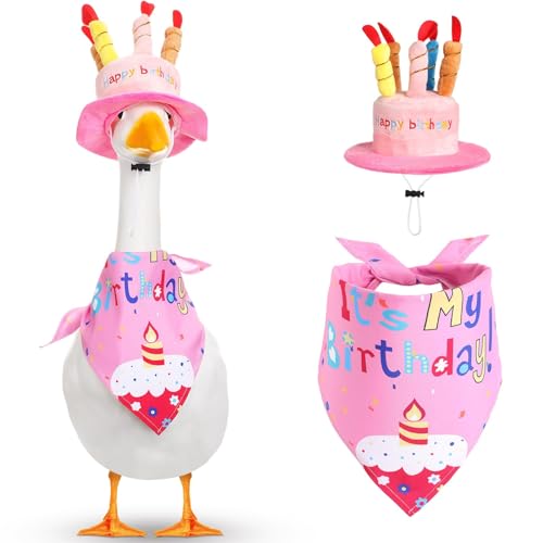 NIEBYI Happy Birthday Gans Outfit Veranda Gans Outfits mit Happy Birthday Kuchen Hut und Bandana Hof, Gänse Outfits für 58,4 cm 43,2 cm Zement Kunststoff Gänse Enten Dekorationen (Stil 1, Rosa) von NIEBYI