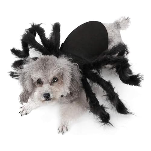 Spinnenkostüm für Haustiere, Halloween-Spinnenkostüm für Katzen und kleine bis mittelgroße Hunde, Halloween-Party, Verkleidung, Festival, Dekoration, Cosplay, Haustierkostüm (M) von NIEBYI