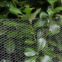 Niederberg Metall - Maschendraht Kaninchendraht Drahtgitter Sechseckgeflecht 25m Drahtrolle 75cm(H) Maschenweite 13x13mm 0.9mm verzinkt von NIEDERBERG METALL
