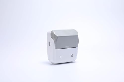 NIIMBOT B31 Etikettendrucker Etikettiergerät Beschriftungsgerät Label Printer, Grau von NIIMBOT