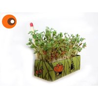 Kühlschrank-Magnet-Beet "Ground Staff" Kühlschrankmagnet Magnet Küchendeko Kresse Kühlschrank-Magnet-Beet "Ground Staff" Kühlschrankmagnet Magnet Küchendeko Kresse von NIKOde