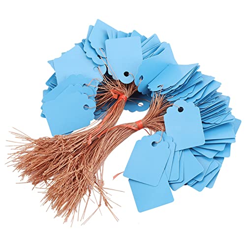 200Pcs Weiße Pflanzenetiketten für Outdoor und Innenräume, PVC Hanging Plant Name Tags mit Schnur, Wiederverwendbare Gartenname Einsätze Zum Markieren von Samenschalen (Blau) von NINESHE