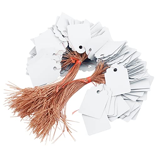 200Pcs Weiße Pflanzenetiketten für Outdoor und Innenräume, PVC Hanging Plant Name Tags mit Schnur, Wiederverwendbare Gartenname Einsätze Zum Markieren von Samenschalen (Weiß) von NINESHE