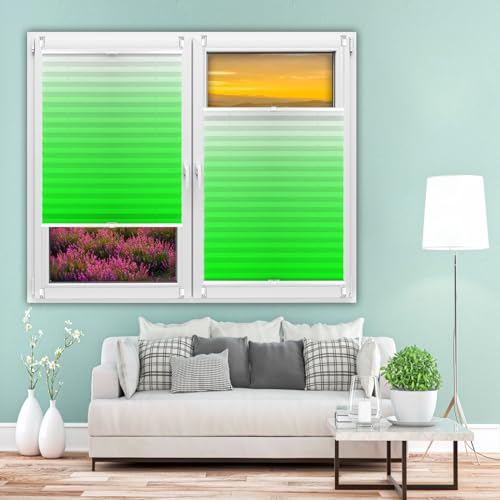 Premium Plissee, Faltrollo Jalousie 25 x 60 cm Plissee Klemmfix Rollo, Faltrollos, Jalousie Plisseerollo 60 Sekunden Plisseerollo Montage für Fenster & Tür, Grün von NINGBAI