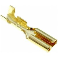 Ninigi - Buchse Faston Klemme 2,8mm 1670.05.00.9 Ninigi - Buchse Faston Klemme 2,8mm 1670.05.00.9 von NINIGI