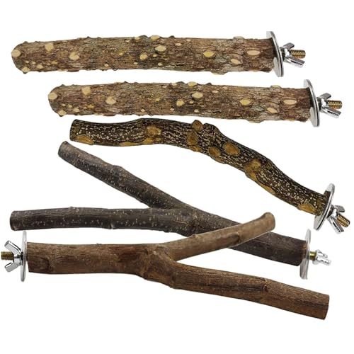 5PCS/Set Bird Perches for Cage, Natural Wood Standing Bird Perch, Easy Install Parrot Perch for Small Conures, Cockatiel, Parrotlet, Lovebird, Parrot and FinchesBird Perches Cage 5PCS/Set Bird Perches for Cage, Natural Wood Standing Bird Perch, Easy Install Parrot Perch for Small Conures, Cockatiel, Parrotlet, Lovebird, Parrot and FinchesBird Perches Cage von NIOMICO