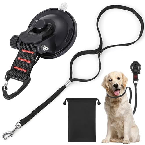 Hundebadnack mit Schwerer Saugnäpfung, 22 Zoll langes Hundefarbenpfleger -Leine -Zurückhaltung weiche Nylonleine mit verstellbarem Kragen für Haustierdusche und Pflegedogbad Hundebadnack mit Schwerer Saugnäpfung, 22 Zoll langes Hundefarbenpfleger -Leine -Zurückhaltung weiche Nylonleine mit verstellbarem Kragen für Haustierdusche und Pflegedogbad von NIOMICO