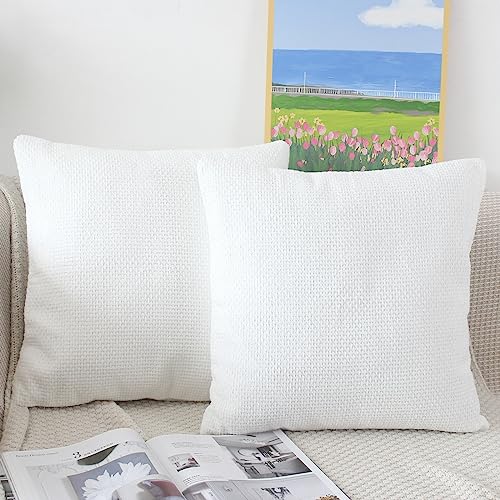 NIULAA Weich Weiß Kissenbezug 40x40 2er Set Deko Kissenbezüge Flauschig Chenille Kissenhülle Aesthetic Sofakissen Dekokissen Wohnzimmer Sofa Kissen Bezüge Zierkissen Outdoor Balkon von NIULAA