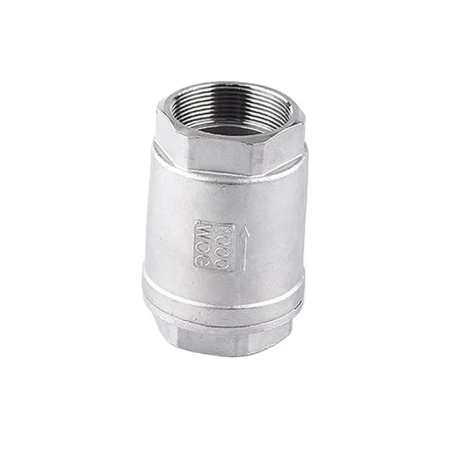 1/2" 3/4" 1" 1-1/4" 1-1/2" 2" BSPT Edelstahl SS304 Vertikalhub-Rückschlagventil mit Feder DN15 DN20 DN25 DN32 DN40 DN50(DN20) von NIWPPKIMX
