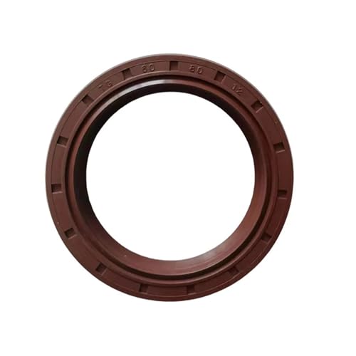 1 Stück Fluorkautschuk-Öldichtung mit Eisenskelettrahmen – TC-Doppellippenvorrichtung, ID 22–27 mm(25x36x10) von NIYADO