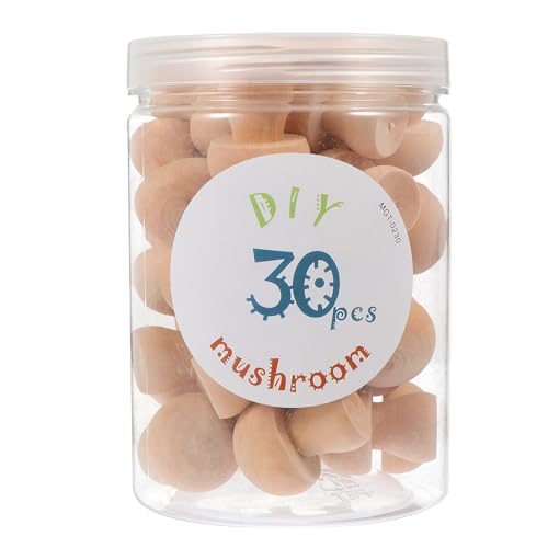 NIYANGLE 30 Stück Holzpilzklammern, Unvollendetes Diy-malspielzeug, Handbemaltes Kunsthandwerk für Heimdekoration Und Miniaturszenen von NIYANGLE