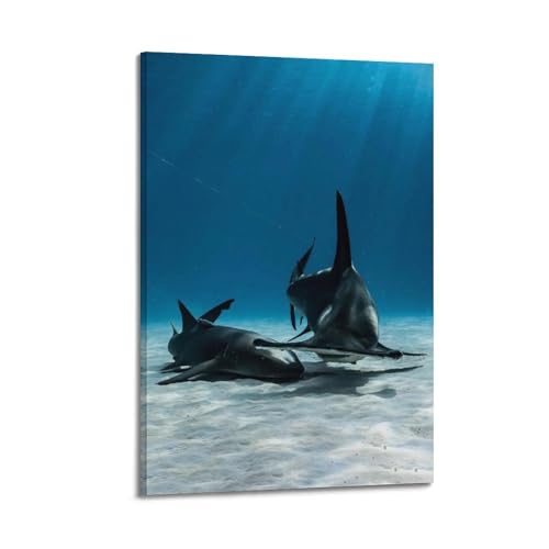NIZIEE Tierposter Hammerhead Hammerhead Hai Sphyrna Zygaena dekoratives Gemälde Leinwand Poster 30 x 45 cm NIZIEE Tierposter Hammerhead Hammerhead Hai Sphyrna Zygaena dekoratives Gemälde Leinwand Poster 30 x 45 cm von NIZIEE