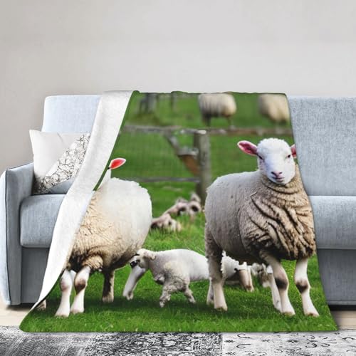 NImongt Atmungsaktive Flanelldecke mit Schaf- und Lämmer-Druck, leicht, hautfreundlich, konditionierende Decke für Bett von NImongt