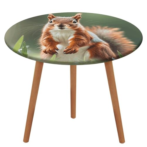 NKJJSTES Fitted Round Table Cloth Elastic Stretch Tablecloth Cute Squirrels Waterproof Table Cover for Camping Indoor and Outdoor NKJJSTES Fitted Round Table Cloth Elastic Stretch Tablecloth Cute Squirrels Waterproof Table Cover for Camping Indoor and Outdoor von NKJJSTES