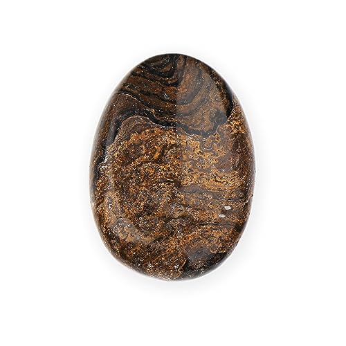 NKlaus Daumenstein Stromatolith Natur 5x3,5cm Meditation Handschmeichler Deko 14891 von NKlaus