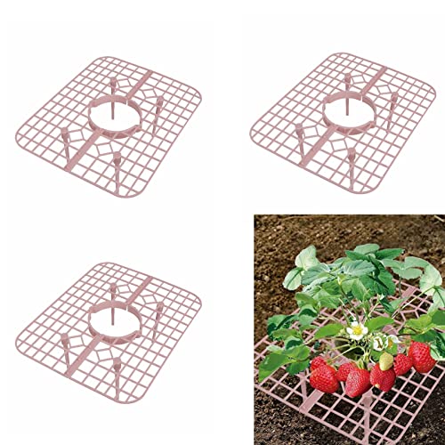 NLDGR Erdbeerstützen, Erdbeerpflanzenständer, Erdbeer-Anzuchtrahmen, Pflanzenstützschale, Erdbeer-Rankgitter für Gartenpflanzen, 10 Stück von NLDGR