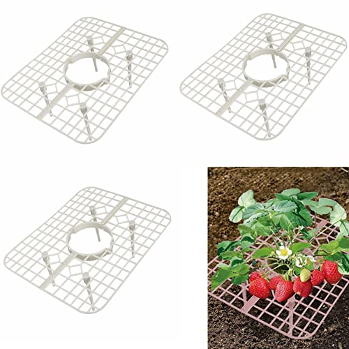 NLDGR Erdbeerstützen, Erdbeerpflanzenständer, Erdbeer-Anzuchtrahmen, Pflanzenstützschale, Erdbeer-Rankgitter für Gartenpflanzen, 10 Stück von NLDGR