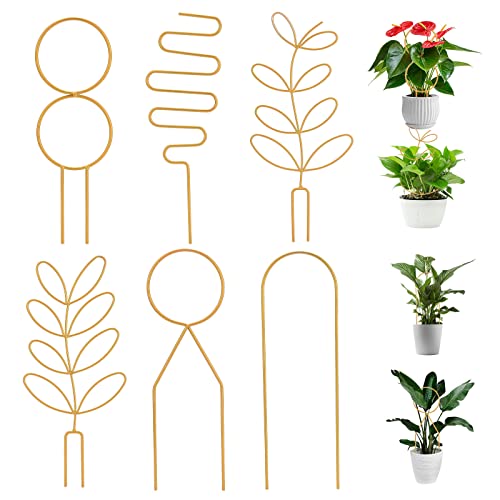 NLDGR 6 Packungen Rankgitter für Topfpflanzen, Goldene Metallgitter für Zimmerpflanzen, Metallpflanzenstäbe für Kletterpflanzen, Rankgitter für Gartentopfpflanzen, Hoya, Blumen(#1) von NLDGR