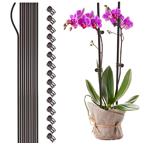 NLDGR Pflanzenstützstäbe mit 15 Pflanzenclips, 61 cm hoch, Einzelstiel-Blumenpfähle, biegbare Pflanzstäbe für Zimmerpflanzen, Orchideen-Clips und Heringe, 10 Stück von NLDGR