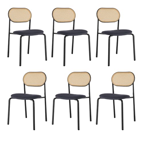 NLDGR Rattan Esszimmerstühle 2er Set, Küchenstühle Akzentstühle mit Rattan Rückenlehnen Armlose Stühle mit Metallbeinen, Gepolstertem Sitz, für Esszimmer Küche Wohnzimmer (Stil 1 schwarz-6pcs) NLDGR Rattan Esszimmerstühle 2er Set, Küchenstühle Akzentstühle mit Rattan Rückenlehnen Armlose Stühle mit Metallbeinen, Gepolstertem Sitz, für Esszimmer Küche Wohnzimmer (Stil 1 schwarz-6pcs) von NLDGR