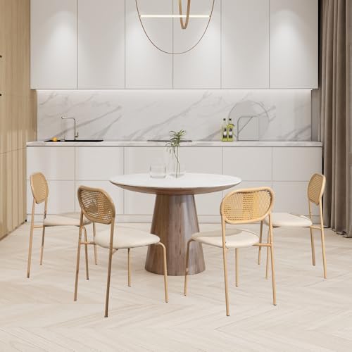 NLDGR Rattan Esszimmerstühle 4er Set, Küchenstühle Akzentstühle mit Rattan Rückenlehnen Armlose Stühle mit Metallbeinen, Gepolstertem Sitz, für Esszimmer Küche Wohnzimmer von NLDGR