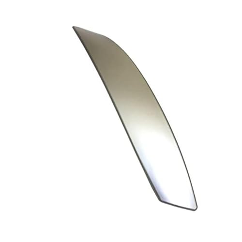 NLNGNZBZTP Innentürgriff Für Z4 E85 E86 2002–2008, Links Und Rechts, Innentür-Zuggriffabdeckung, Verkleidungsersatz Türinnengriff Im Auto(Matt Silver R) von NLNGNZBZTP