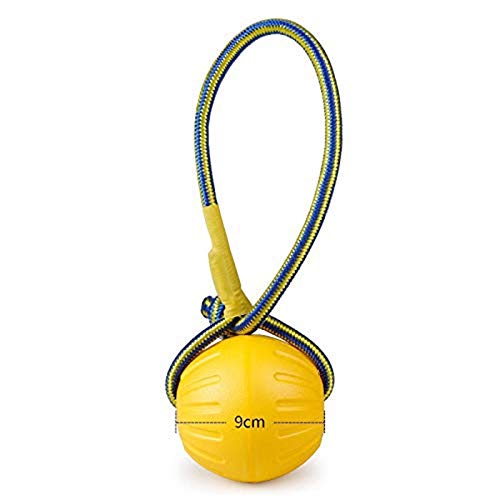 NMD&LR Hundespielzeug Bissresistenter Ball Frisbee, Eva-Schaum Schwimmendes Wasserspielzeug Pet Training Interaktives Spielzeug Ist Für Große, Mittlere Und Kleine Hunde Geeignet von NMD&LR
