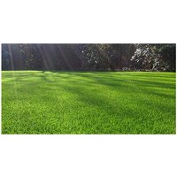 Samenmischung für sportrasen 10kg - Nmp - gazon sport 10kg Samenmischung für sportrasen 10kg - Nmp - gazon sport 10kg von NMP