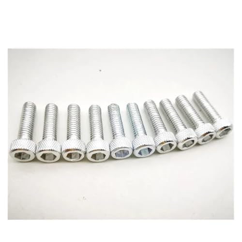 10 STÜCKE Motorradschraube Bunte Aufkleber M6 Schrauben Moto Teile Universal Motorradschraube 6 MM Dekoratives Rollerzubehör Rot Blau(Silver) von NMQUETYAN