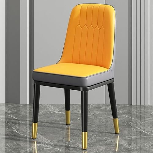 NMVAWIPT 2 Stück Skandinavische Esszimmerstühle In Blaugrau Mit Schwarz-goldenem Fuß – Gepolsterte Seite for Küche, Zimmer, Büro(Yellow Grey,Black-Gold) von NMVAWIPT