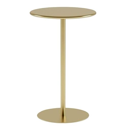 NMVAWIPT 2 Stücke Metall Runde Seite Tisch Set Moderne Ende for Wohnzimmer Schlafzimmer Balkon(Color 4,18.8" Dx18.8 Wx28.3 H) von NMVAWIPT