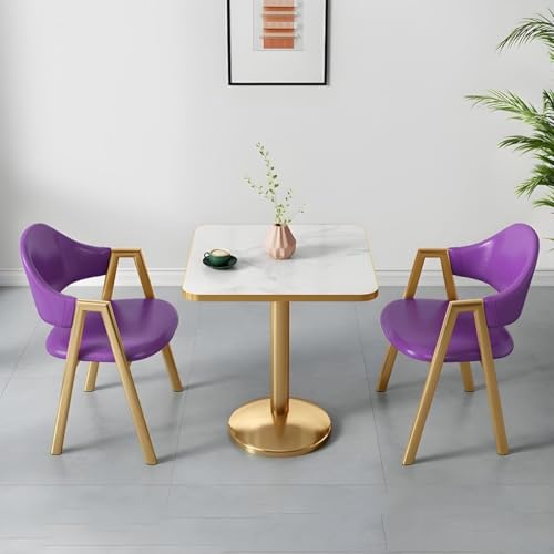 NMVAWIPT 2-teiliges Esszimmer-Set Mit Gepolsterten Stühlen Und Tisch, Moderne, Glamouröse, Quadratische Weiße Möbel Goldenem Metallsockel for Das Wohnzimmer(#11) von NMVAWIPT