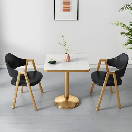 NMVAWIPT 2-teiliges Esszimmer-Set Mit Gepolsterten Stühlen Und Tisch, Moderne, Glamouröse, Quadratische Weiße Möbel Goldenem Metallsockel for Das Wohnzimmer(Black) von NMVAWIPT