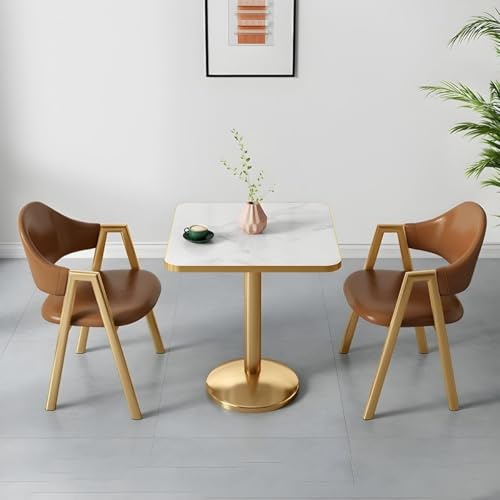 NMVAWIPT 2-teiliges Esszimmer-Set Mit Gepolsterten Stühlen Und Tisch, Moderne, Glamouröse, Quadratische Weiße Möbel Goldenem Metallsockel for Das Wohnzimmer(Coffee) von NMVAWIPT