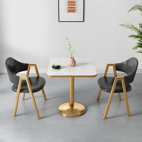 NMVAWIPT 2-teiliges Esszimmer-Set Mit Gepolsterten Stühlen Und Tisch, Moderne, Glamouröse, Quadratische Weiße Möbel Goldenem Metallsockel for Das Wohnzimmer(Dark Gray) von NMVAWIPT