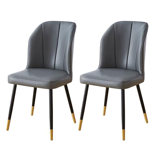NMVAWIPT 2PCS Home Simple Iron Schreibtisch Esszimmerstuhl, Nordische PU-Polsterung Hotel/Restaurant Rückenlehne(Black) von NMVAWIPT