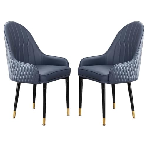 NMVAWIPT 2er-Set Esszimmerstühle, Küchensessel Aus Mikrofaserleder Mit Weich Gepolsterter Sitzfläche Und Beinen Buchenholz for Büro, Lounge, Schlafzimmer(Blue) von NMVAWIPT