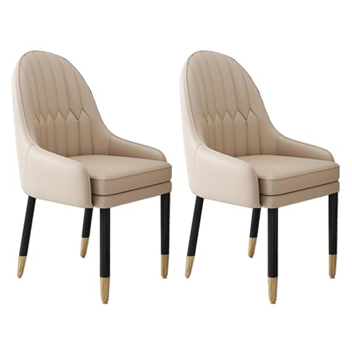 NMVAWIPT Gepolsterte Esszimmerstühle, Beine Aus Massivem Holz, Weich Gepolsterter Sitz, Bequeme Rückenlehne(Color 17,2pcs) von NMVAWIPT